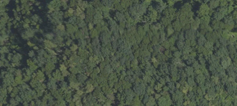 Coal Township, PA 17866