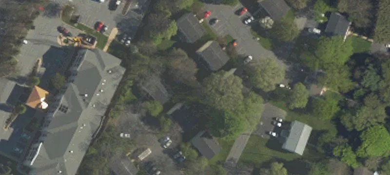 Cherry Ln