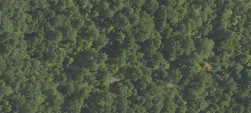 Coal Township, PA 17866
