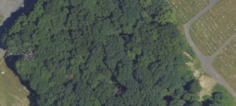 Locust Gap Hwy