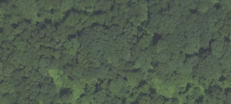 Pentz Rd