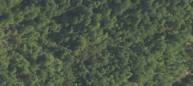 Coal Township, PA 17866