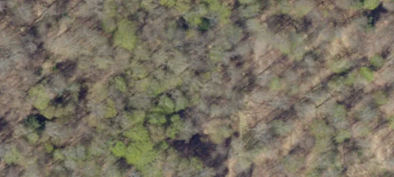 89 Sizer Run Rd