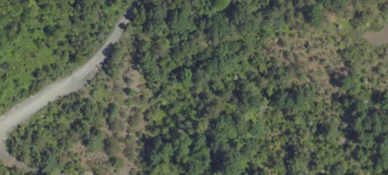 Coal Township, PA 17866