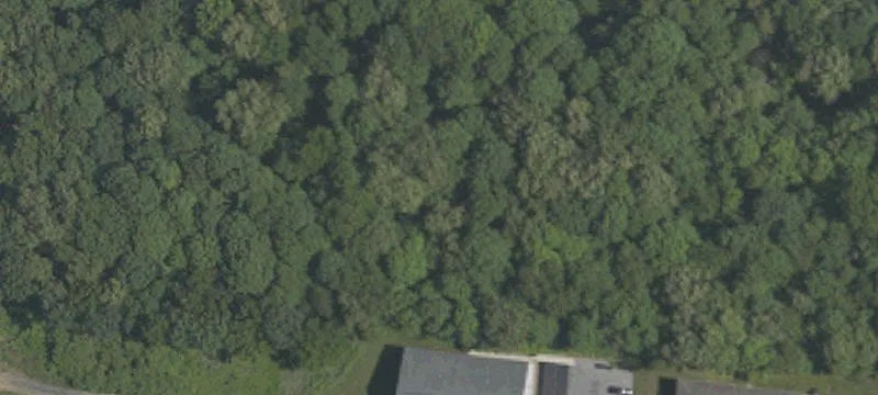 141 Holliday Hls Dr
