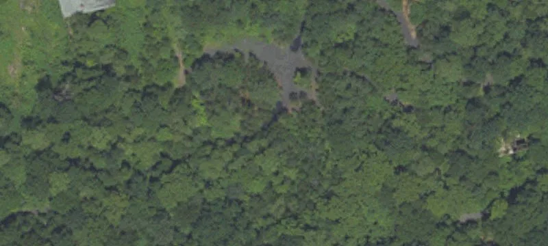9 Holw Rd