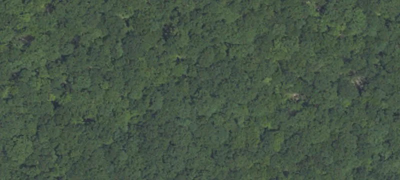 Gordon Mtn Rd