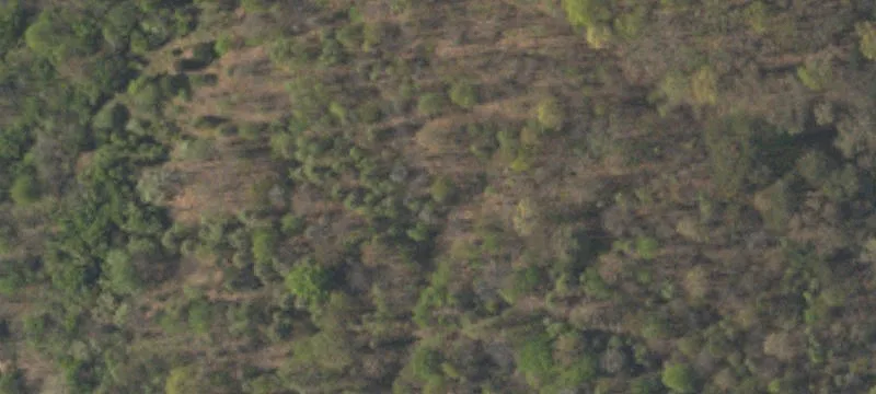 410 Summer Vly Rd