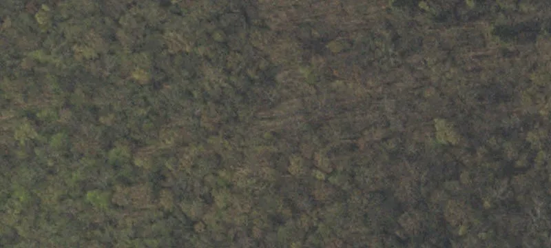 Tuscarora Park Rd
