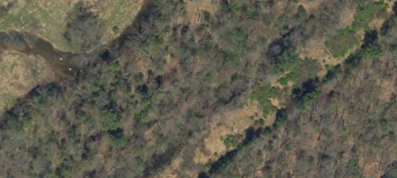 51 Ash Cir