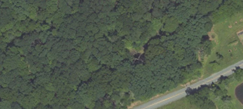 Puralator Rd