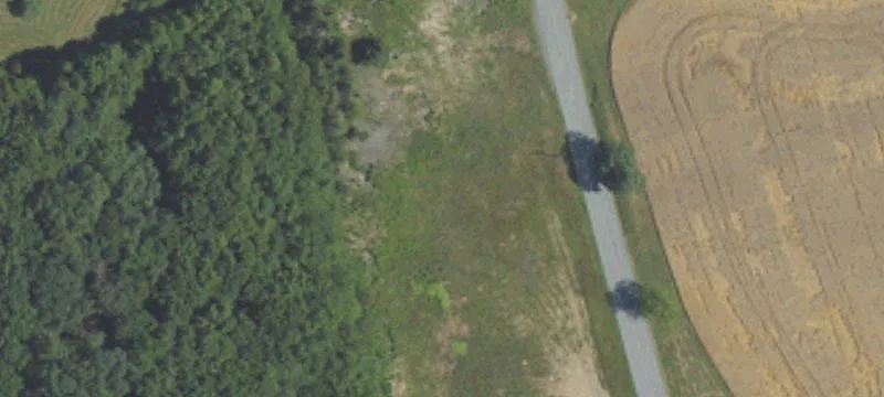 Spruce Dr