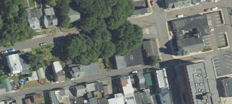 Chestnut St