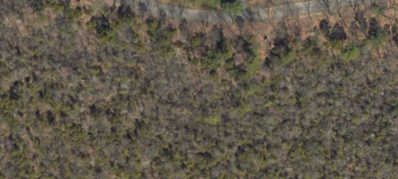 Laurel Dr
