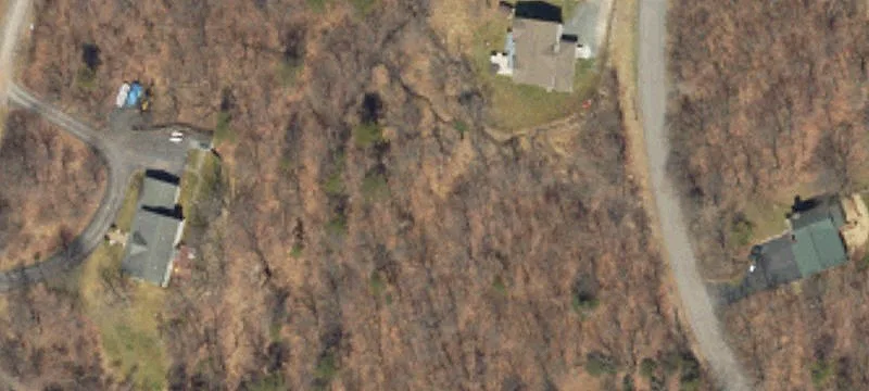 White Birch Dr