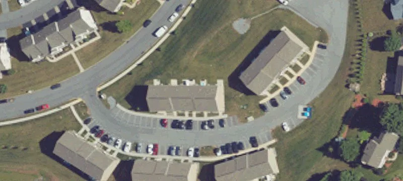 Tarheel Ln