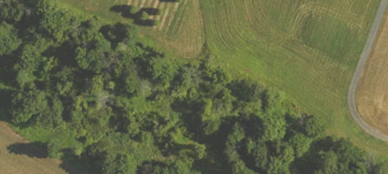 1080 Mnr Rd