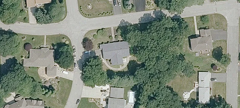 64 Basil Xing