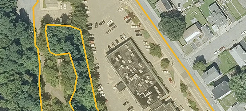 333 School St Ste, Unit 203