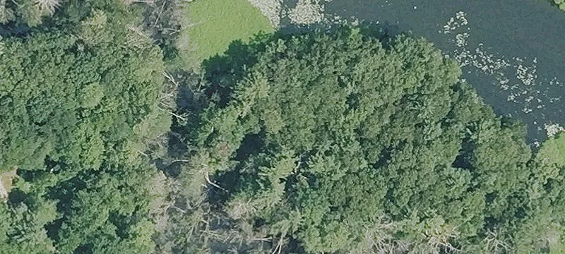 20 Greenville Rd