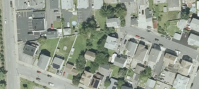 78 Japonica St