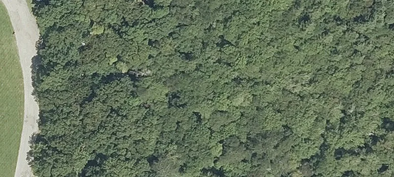 Wordens Pond Rd