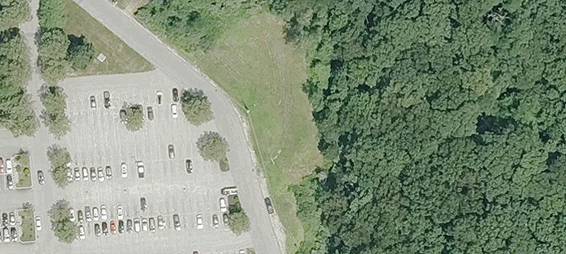 Rhodes Ave