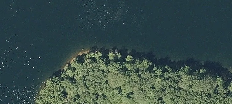 White Pond Rd