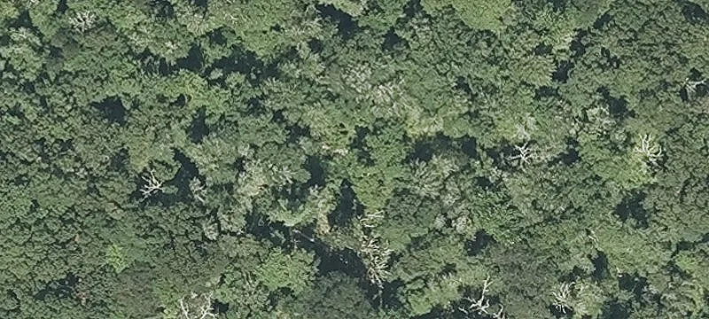 Wordens Pond Rd