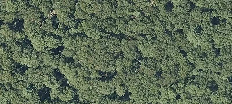 Wordens Pond Rd