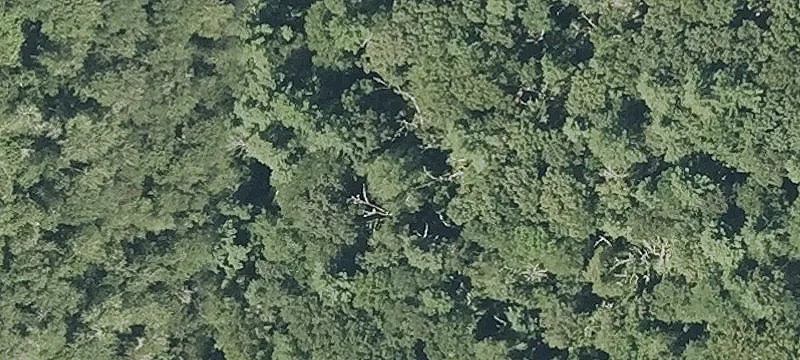 Barbers Pond Rd