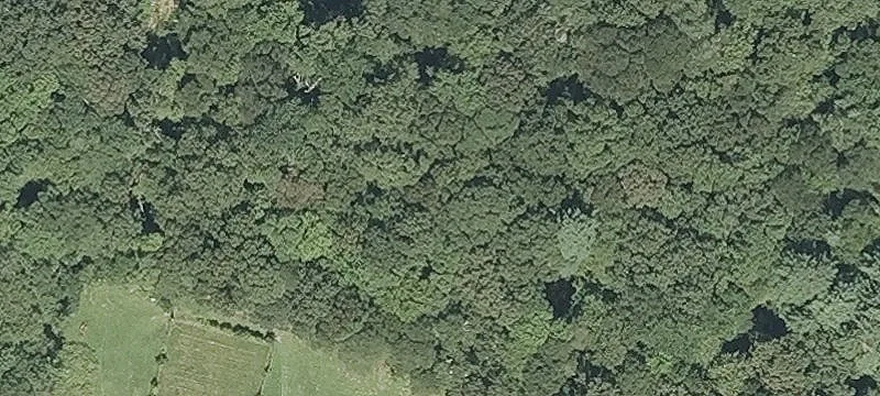 264 Ss Rd