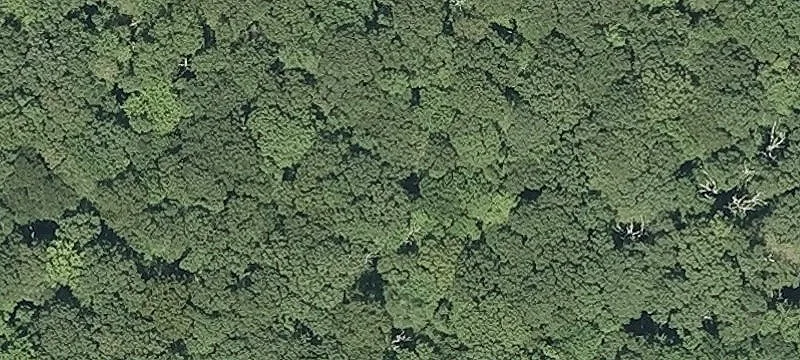 Nooseneck Hl Rd