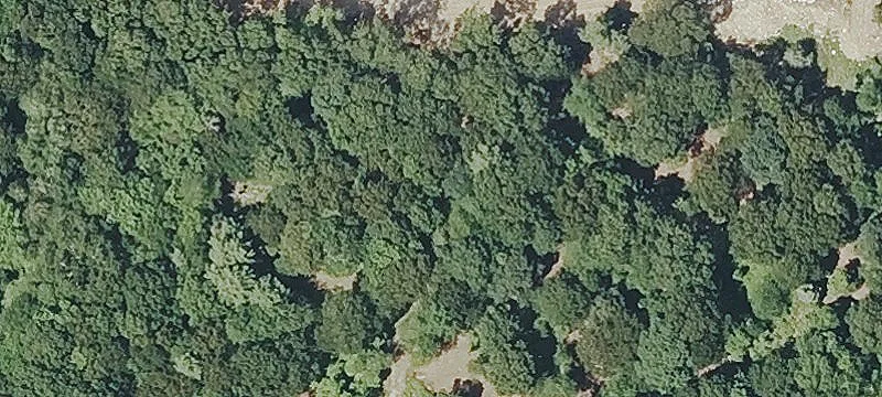 Ross Hl Rd