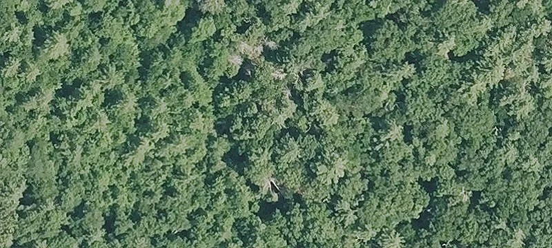 Putnam Pike