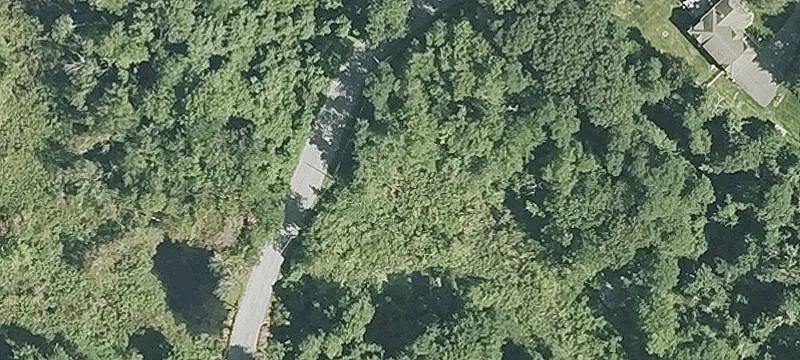 339 Leigh Rd