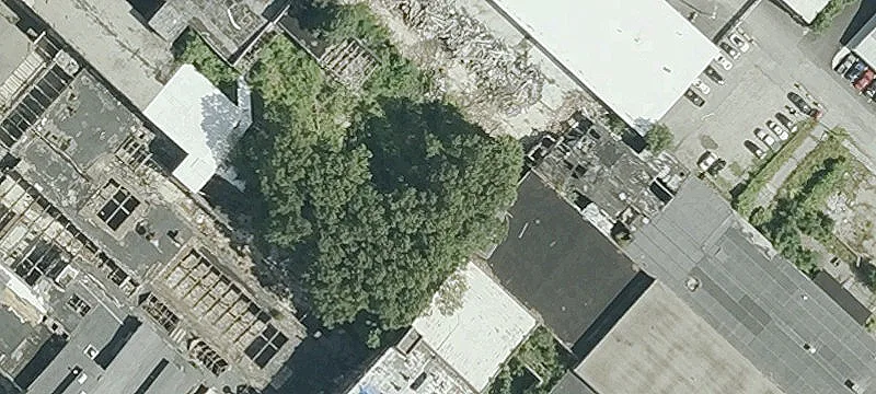 25 Conduit St