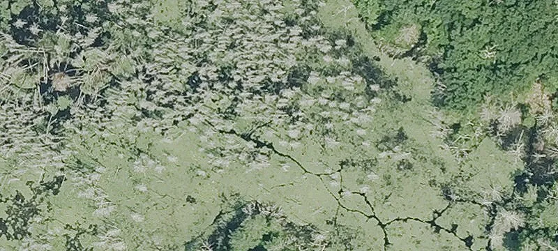 Buck Hl Rd
