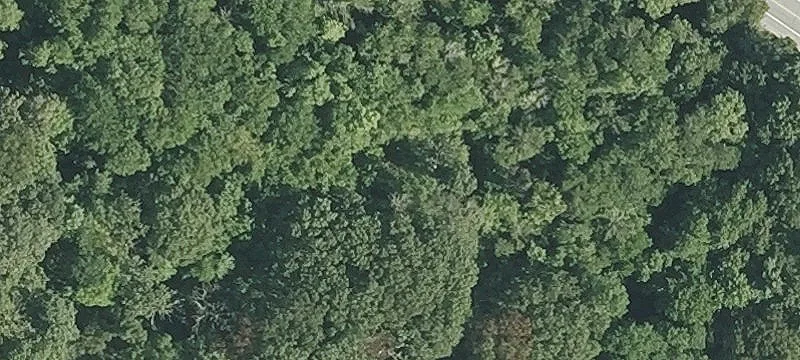 Sneech Pond Rd