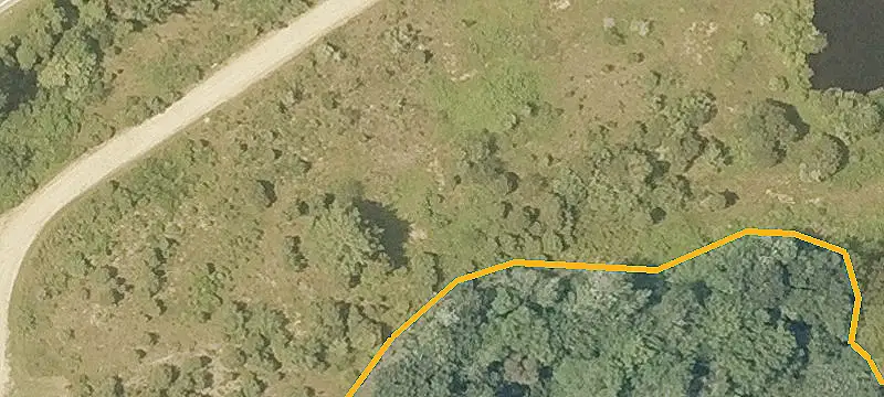 Falcone Ln