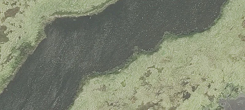 George St