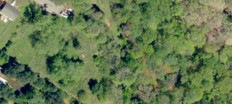 Boxwood Ln