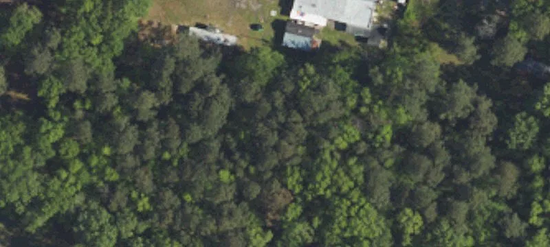 7815 Blf Rd