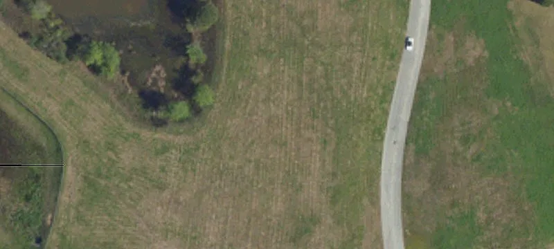 Marion, SC 29571
