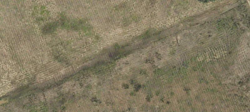 Conway, SC 29527