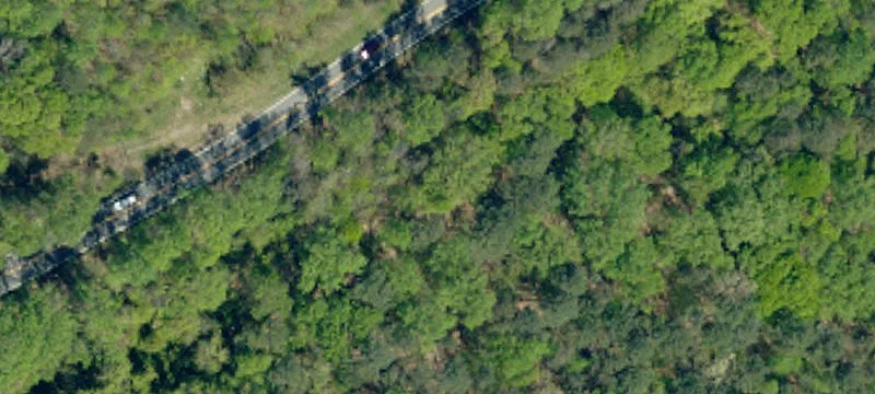 1600 Old Easley Hwy