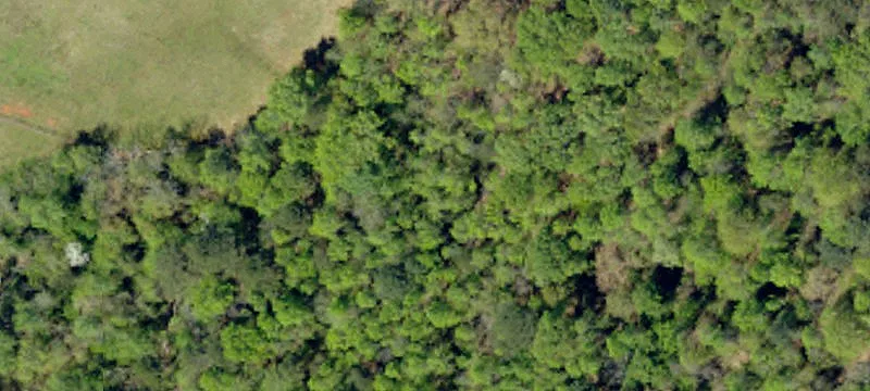 325 Motlow School Rd