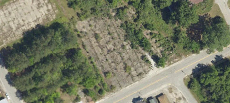 225 Main St