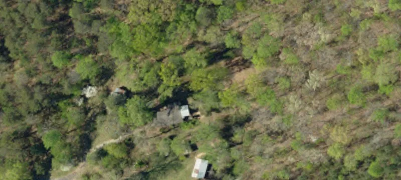 137 Bonnie Ln