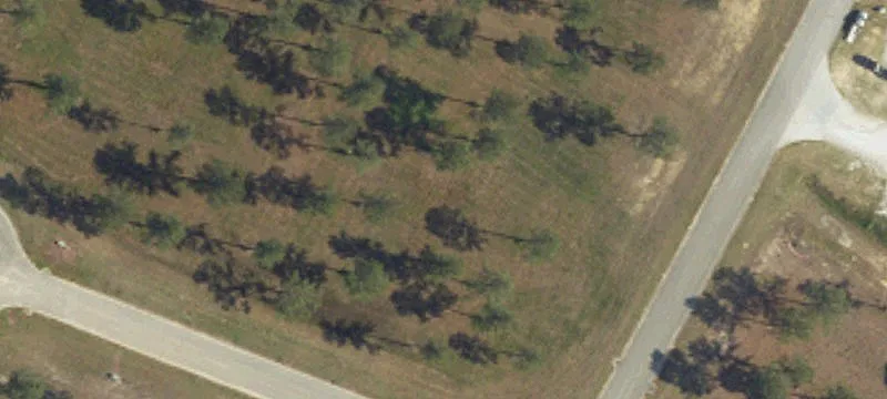 Aynor, SC 29511